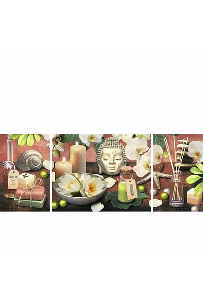 RAVENSBURGER 194988   لغز خزانة البستاني 1000 قطعة