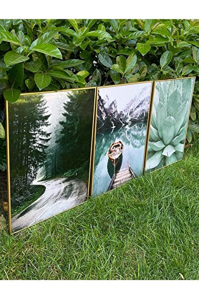 Linacci Üçlü Gold Çerçeve Alüminyum Metal Yeşil Doğa Manzara Camlı Tablo Seti