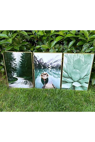 Linacci Üçlü Gold Çerçeve Alüminyum Metal Yeşil Doğa Manzara Camlı Tablo Seti