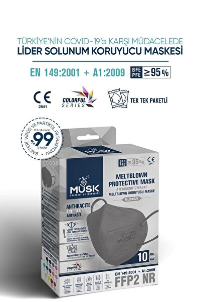 Musk N95 Maske Gri 10 Adet