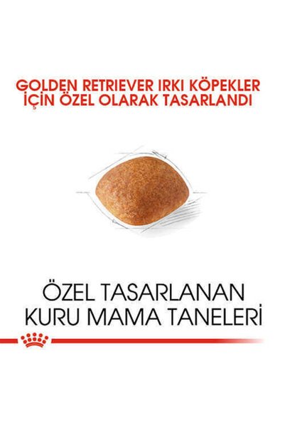 Royal Canin Golden Retriever Yetişkin Köpek Maması 12 Kg