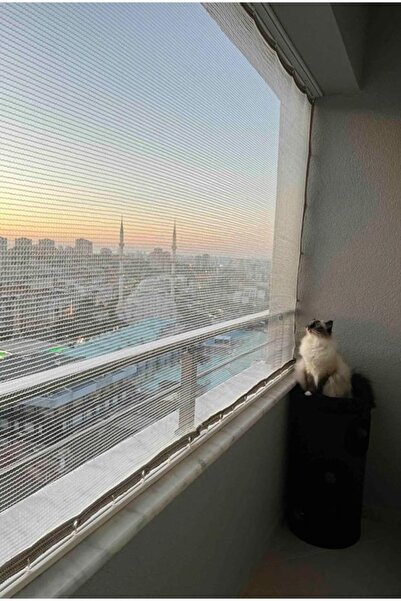 Asenya Kuş Filesi 2x2,5 M Balkon Filesi Kedi Filesi Dolu Filesi Misina Balkon Ağı Kuş Önleme Filesi