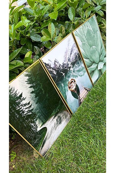 Linacci Üçlü Gold Çerçeve Alüminyum Metal Yeşil Doğa Manzara Camlı Tablo Seti