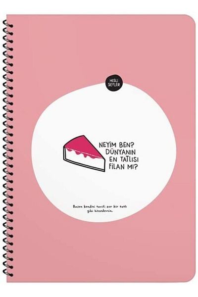 KESKİN COLOR 4 Different Model Feel Things - 16.5X22.5 Checked Notebook, 4 Pieces