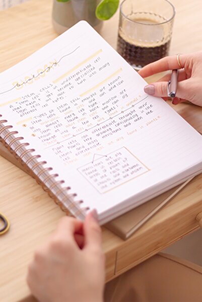 Matt Notebook 20x28 Cm A4 Lastikli Spiralli Sert Kapak Not Defteri Çizgili Bej