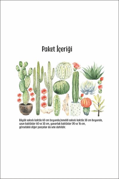 Sim Tasarım Cactus Succulent Wall Sticker Set