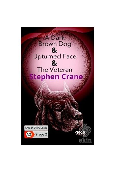 Gece Kitaplığı A Dark Brown Dog Upturned Face The Veteran I /