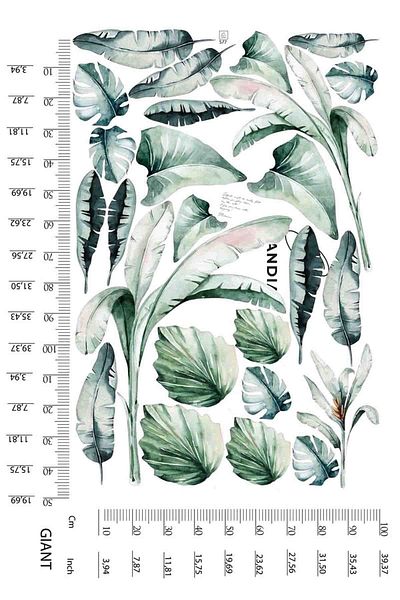 Sim Tasarım Large Size Tropical Leaves Wall Sticker Set