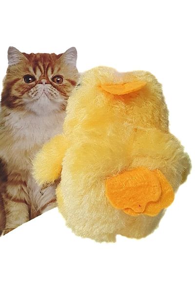 AquaHome Figured Vibrating Cat Toy (Pull and Drop String)