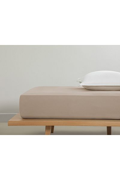 English Home Plain Cotton Single Bed Sheet 160x240 Cm Coffee Foam