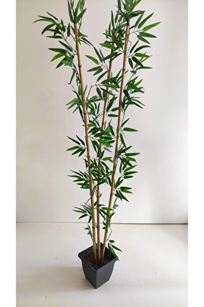 RUZGARCİCEK Rüzgar Yapay Çiçekçilik 170 Cm 3 Lü Bambu