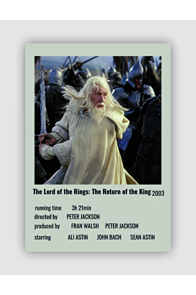 The Lord Of The Rings: The Return Of The King Movie Info Card Wall Poster