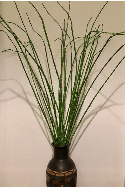 ÇiçekGaraj Uzun Ince Yapay Dal Çiçek 150 Cm