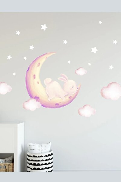 Sim Tasarım Uykucu Pembeli Tavşancık Duvar Sticker Seti Renkli