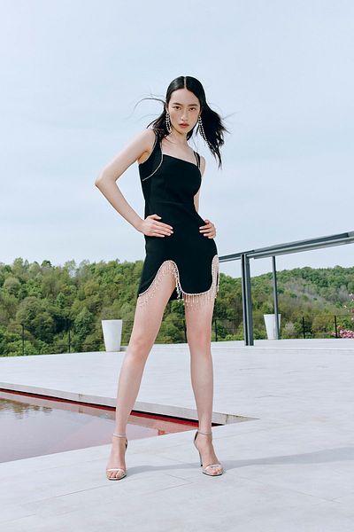 Trendyol Collection X Zeynep Tosun Black Shiny Stone Dress TCLSS23EL00016