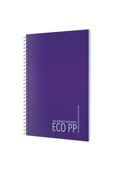 Gıpta Caiet Eco Pp A4 80 de coli fără spirală