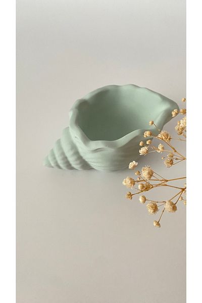 beautystyle Nile Green Concrete Seashell Decorative Bowl, Concrete Jewelry Plate, Souvenir