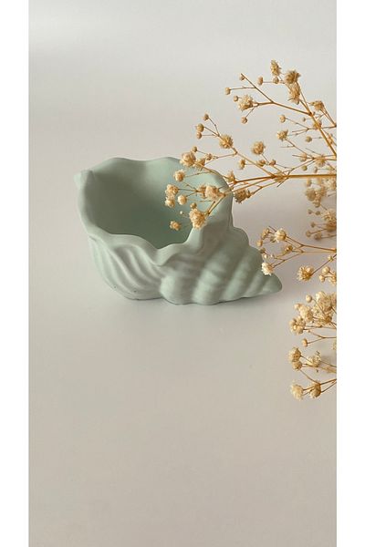 beautystyle Nile Green Concrete Seashell Decorative Bowl, Concrete Jewelry Plate, Souvenir