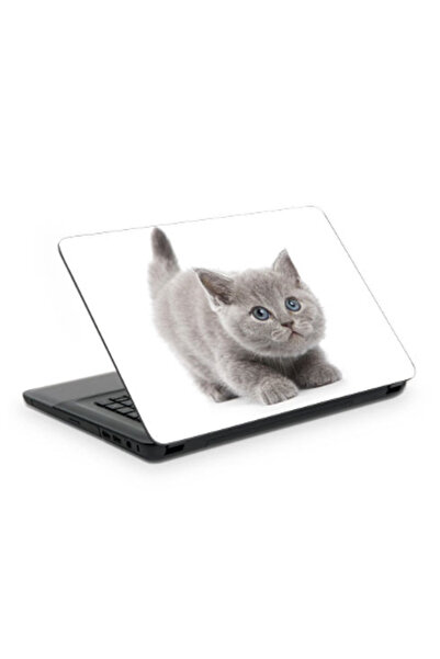 Artikel Kitten Notebook Sticker