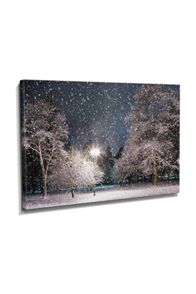 Dekor Sevgisi Kar Taneleri Manzarası Canvas Tablo  75x50 DTC14530163