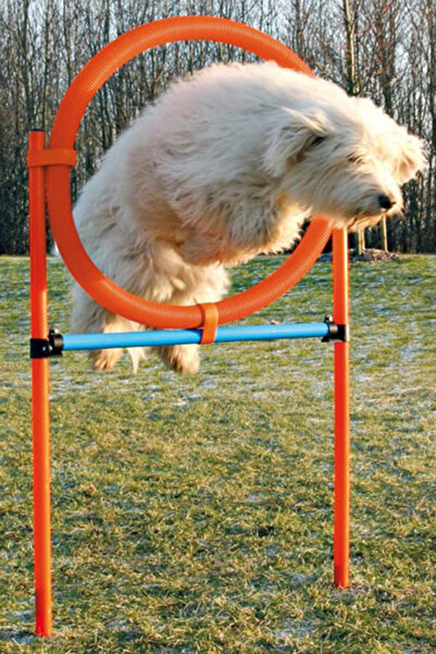 Trixie Köpek Agility Eğitim Çemberi 115 cm x 3 cm x 65 cm