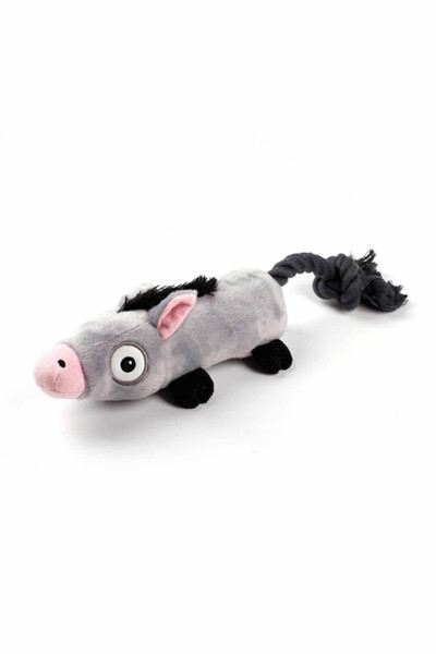 All For Paws Toy for Dogs