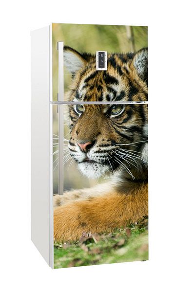 Tilki Dünyası Refrigerator Door Covering Sticker 0015 BUZS000015