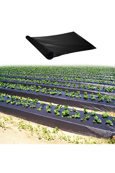 toprak Malç Naylonu 80 Cm En 500 Mt Uzunluk 20 Micron 13 Kg