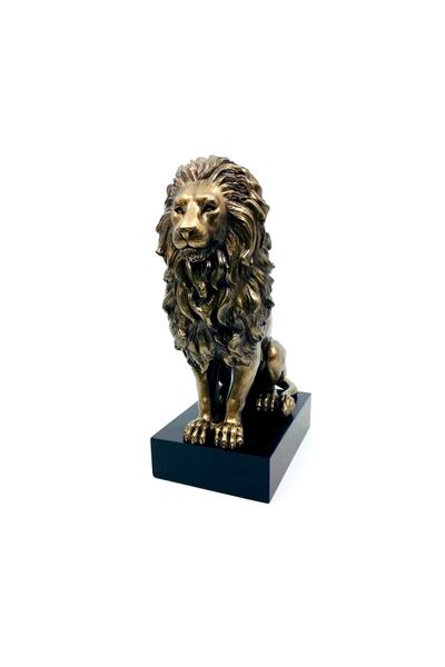 Rakun Home Kaideli Aslan Biblosu