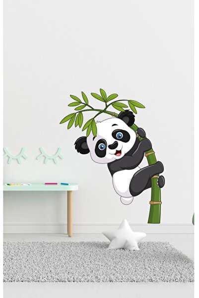 DreamWallArt Bambu Ve Panda Duvar Sticker Renkli
