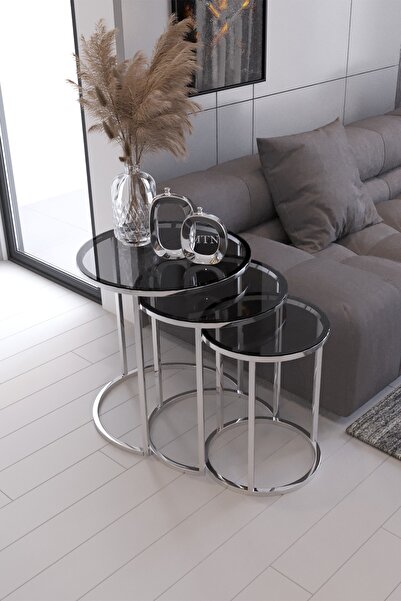 Nies Aksesuar Armoni 3 Lü Gümüş Ayak Füme Cam