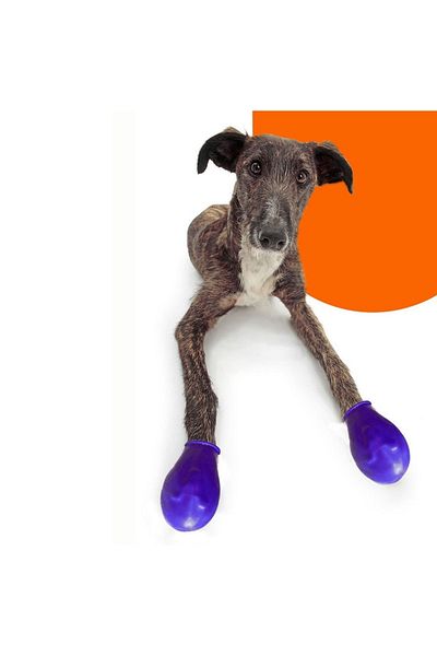 Alphadog Design أحذية Walkies للكلاب، أحذية مقاومة للماء، 6 قطع