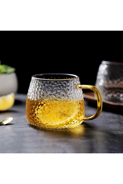 morponi Borosilicate Glass Luxury Frosted Glass Mug with Gold Handle Detail 350 ml 1 Piece
