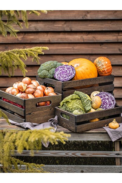 Esci Design Ahşap 3'lü Set Kasa - Ahşap Sepet - Ahşap Kutu - Ahşap Düzenleyici