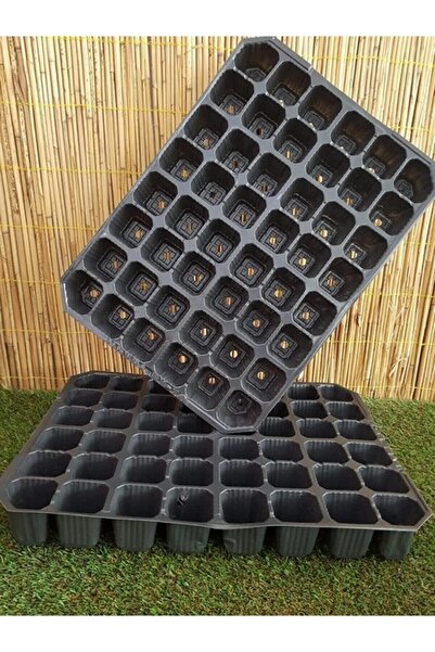 AGROERA Fide Viyolü Fide Viyol 10 Adet 48 Göz Fide Viyolleri Fide Yetiştirme ...