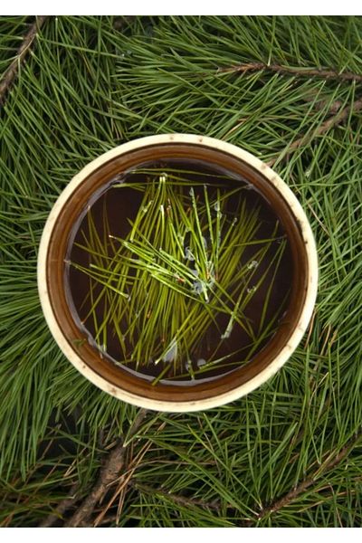 E&K ÇAY Natural Aged Pine Leaf Tea Pine Needle Tea (Needle) 150Gr