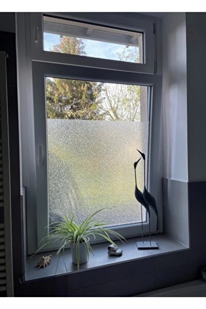 Blue Home Meiwa Japon Teknolojisi 3dx Statik Cam Folyosu Filmi / Eni:46 Cm X 1 Mt -hugo3