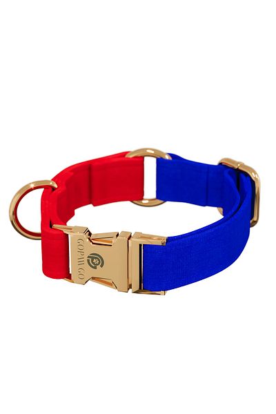 GoPawGo Charmed Sirius Dog Collar
