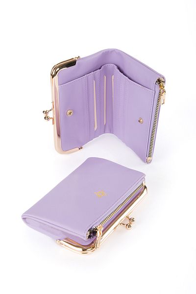 BAGzy Luw Women's Wallet with Clip and Coin Compartment