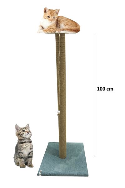 Nursoft Large Cat Scratching Board 100 Cm Turquoise