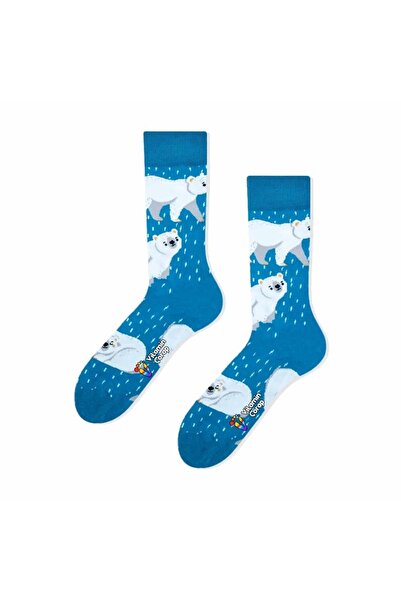 Vitamin Çorap جوارب الدببة القطبية الملونة