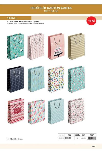 KESKİN COLOR Gift Cardboard Bag 213x257x82