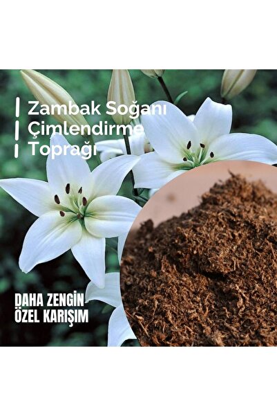 LOBELYA TOHUMCULUK Zambak Soğanı Için Özel Karışımlı Toprak 1 Litre Takviyeli