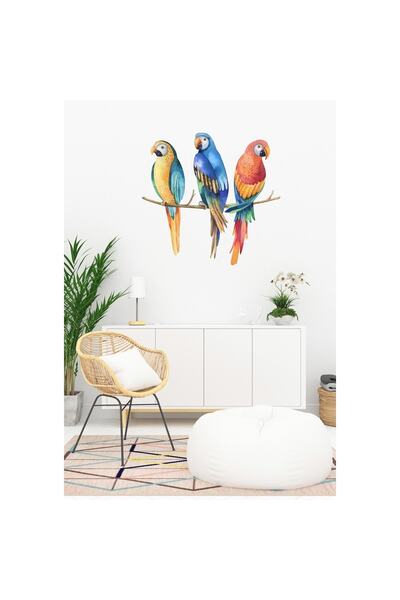 Sim Tasarım - Sim175 - Üçlü Papağanlar Duvar Sticker Seti Renkli