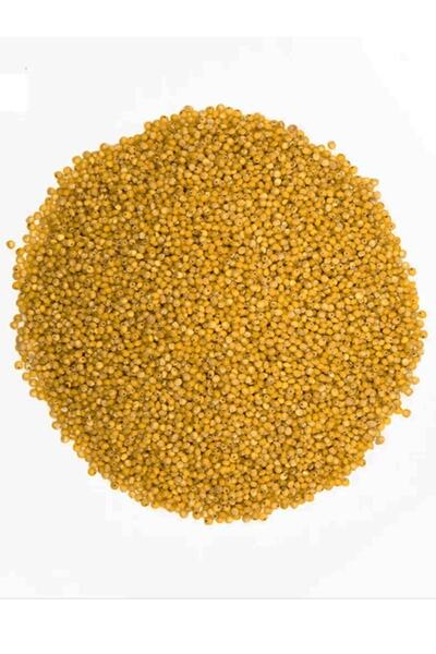 ÇIRPAN KUŞ DÜNYASI Sarı Darı Kuş Yemi 1 Kg (ÖZEL VAKUMLU AMBALAJ)