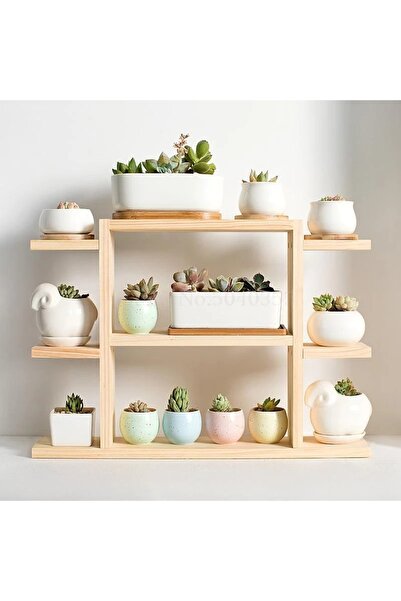 Tiydem Ahşap Masaüstü Pencere Önü Rafı / Skulent, Kaktüs Saksı Rafı/ Ahşap Çi...