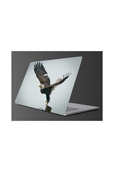 Sim Tasarım Sim105  Kartal Laptop Renkli Sticker