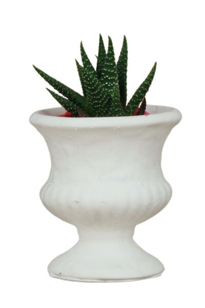 Evene Kaktüs Saksısı Dekoratif Saksı Model 14