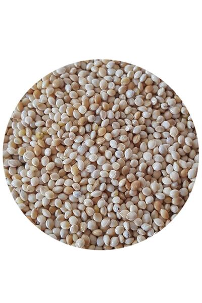 ÇIRPAN KUŞ DÜNYASI Sade Akdarı Kuş Yemi 3 Kg (ÖZEL VAKUMLU AMBALAJ) (1 KG X 3...