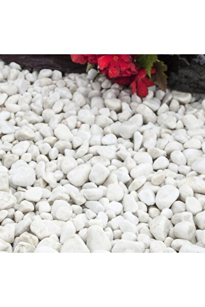 Asenya Mezar Taşı 5 Kg 1-2 Cm Beyaz Dolomit Taş Dere Çakıl Taşı Bahçe Süs Taşı Mezar Süsleme Taşı